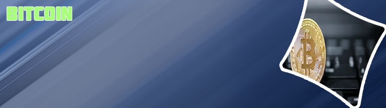 Bitcoin payment solution