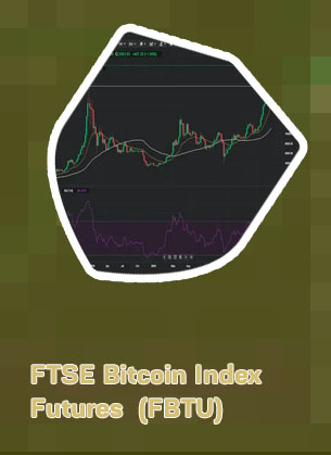 Bitcoin / usd
