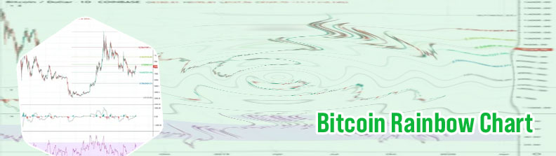 Bitcoin usd live chart