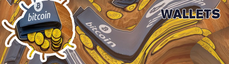 Cracking bitcoin wallet