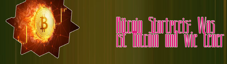 Höchster bitcoin preis